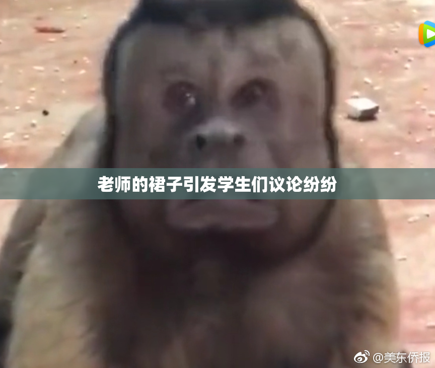 老师的裙子引发学生们议论纷纷