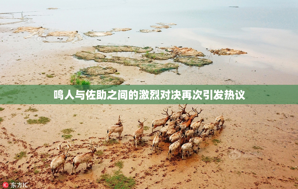 鸣人与佐助之间的激烈对决再次引发热议