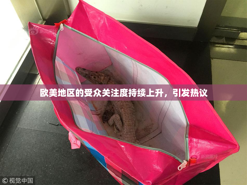 欧美地区的受众关注度持续上升，引发热议