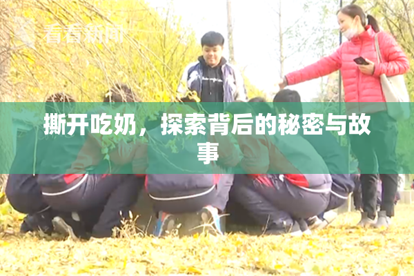 撕开吃奶，探索背后的秘密与故事