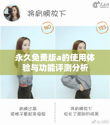 永久免费版a的使用体验与功能评测分析