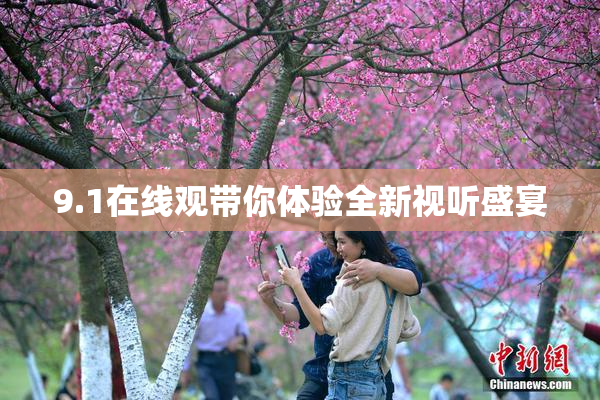 9.1在线观带你体验全新视听盛宴