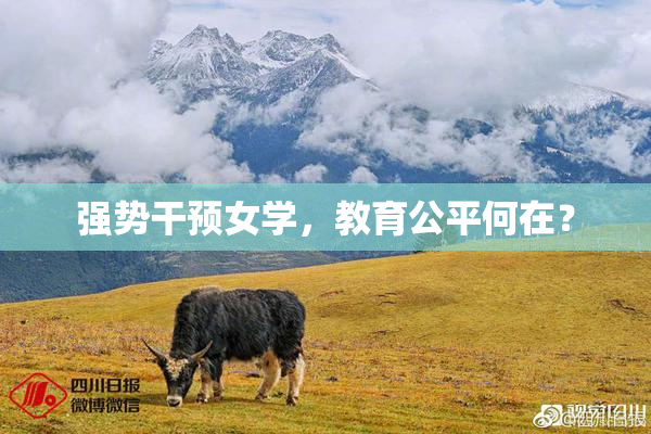 强势干预女学，教育公平何在？
