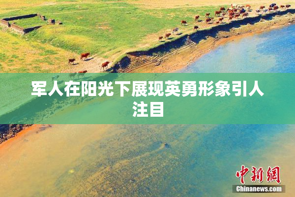 军人在阳光下展现英勇形象引人注目