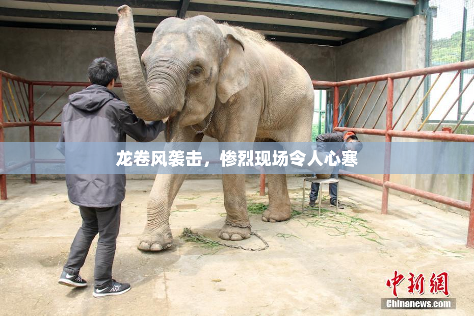 龙卷风袭击，惨烈现场令人心寒
