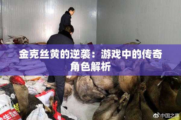 金克丝黄的逆袭：游戏中的传奇角色解析