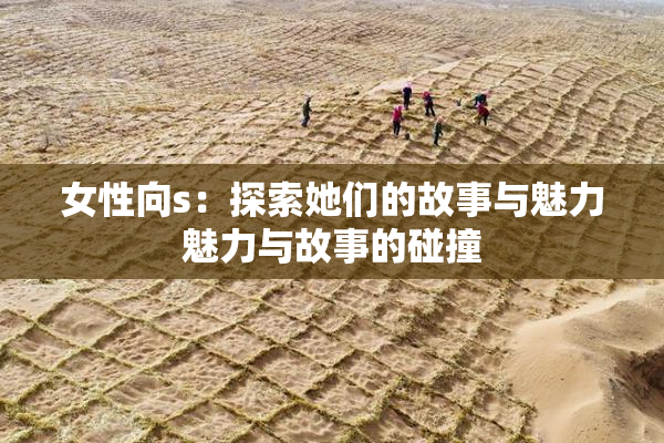 女性向s：探索她们的故事与魅力魅力与故事的碰撞