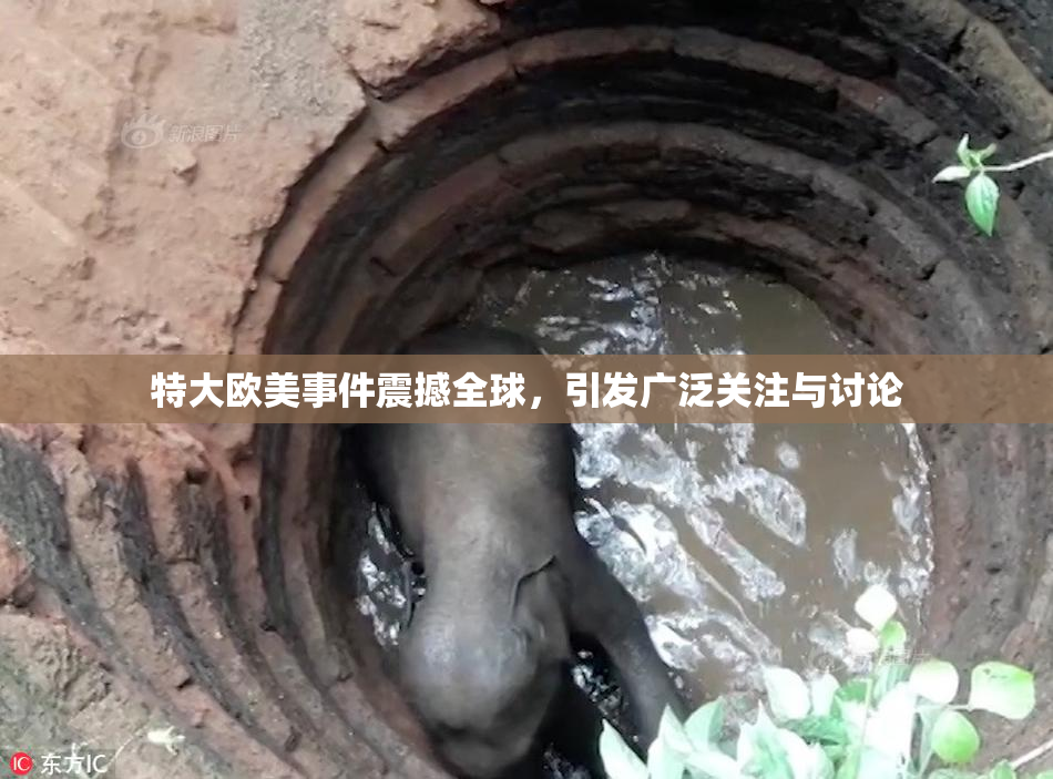 特大欧美事件震撼全球，引发广泛关注与讨论