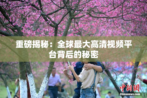 重磅揭秘：全球最大高清视频平台背后的秘密