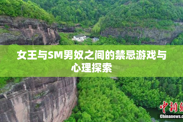 女王与SM男奴之间的禁忌游戏与心理探索