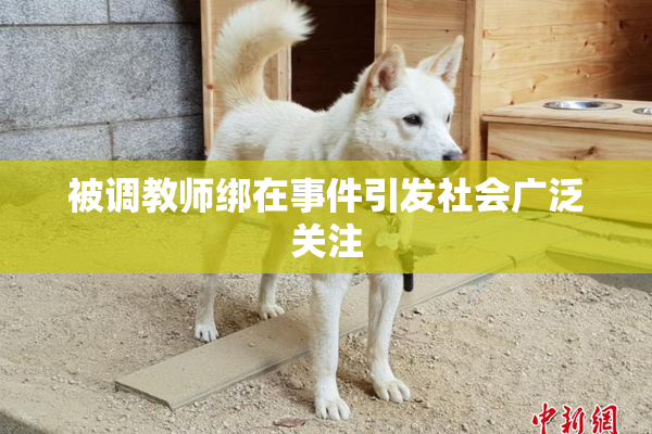 被调教师绑在事件引发社会广泛关注