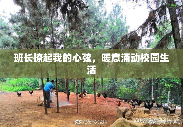 班长撩起我的心弦，暖意涌动校园生活