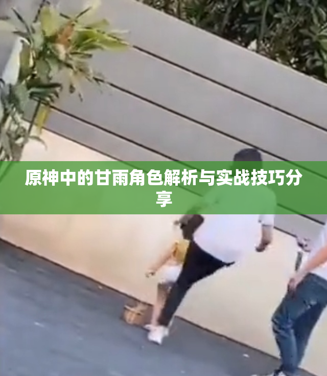 原神中的甘雨角色解析与实战技巧分享