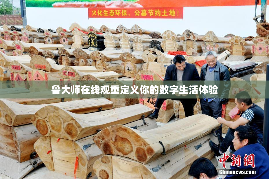 鲁大师在线观重定义你的数字生活体验