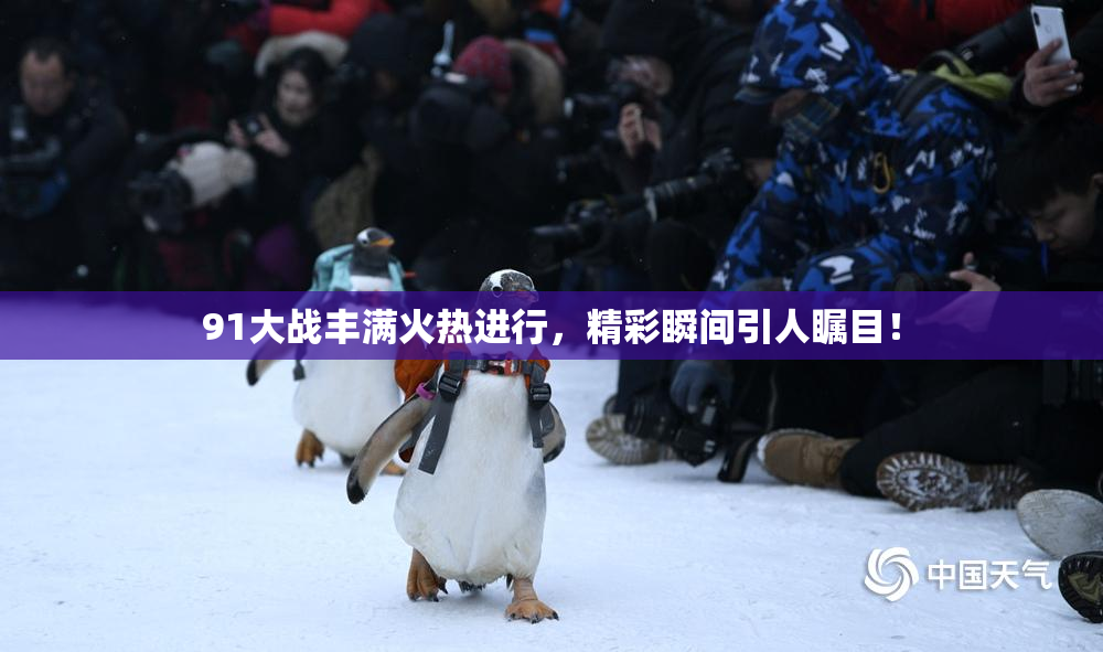 91大战丰满火热进行，精彩瞬间引人瞩目！