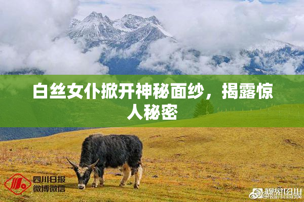 白丝女仆掀开神秘面纱，揭露惊人秘密