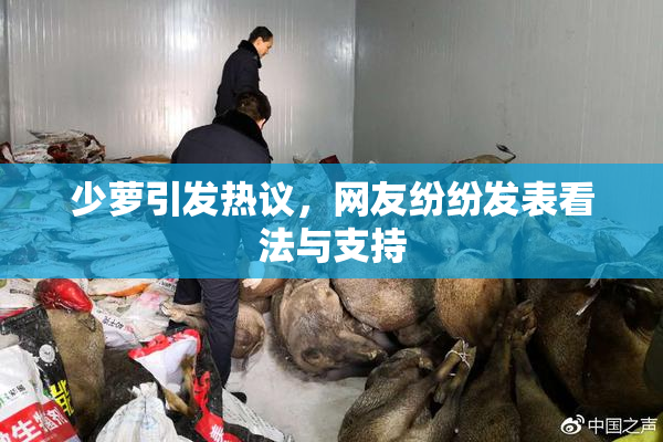 少萝引发热议，网友纷纷发表看法与支持