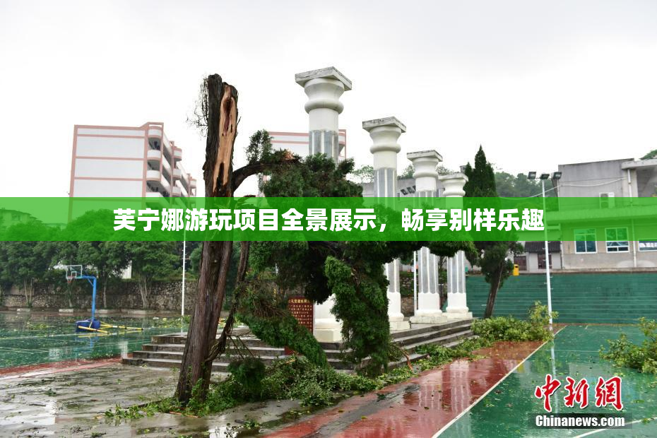 芙宁娜游玩项目全景展示，畅享别样乐趣