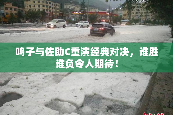 鸣子与佐助C重演经典对决，谁胜谁负令人期待！