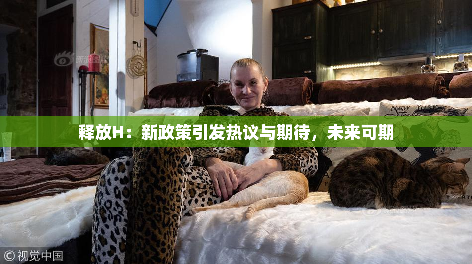 释放H：新政策引发热议与期待，未来可期