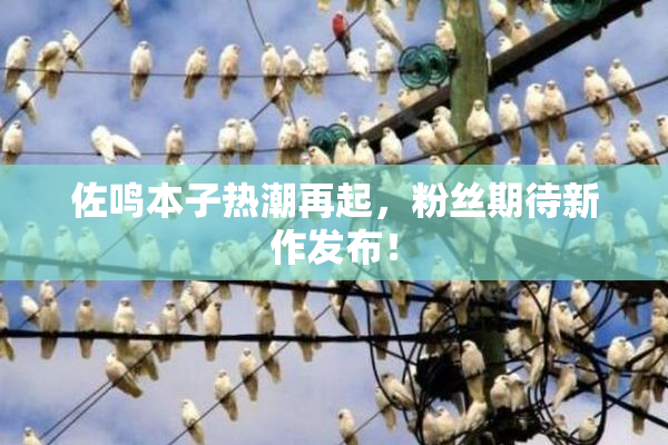 佐鸣本子热潮再起，粉丝期待新作发布！