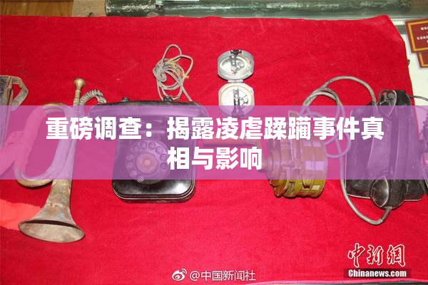 重磅调查：揭露凌虐蹂躏事件真相与影响