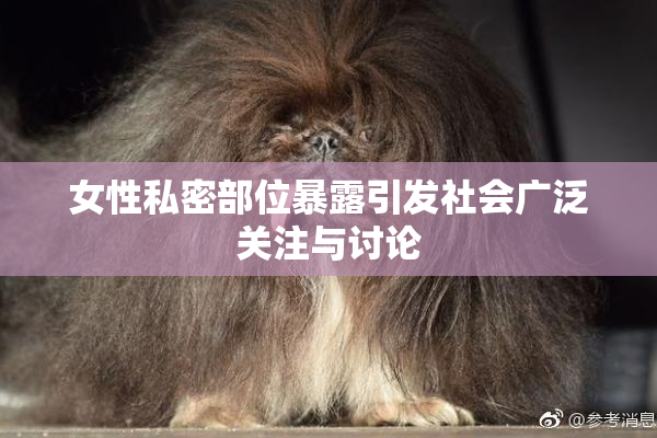 女性私密部位暴露引发社会广泛关注与讨论