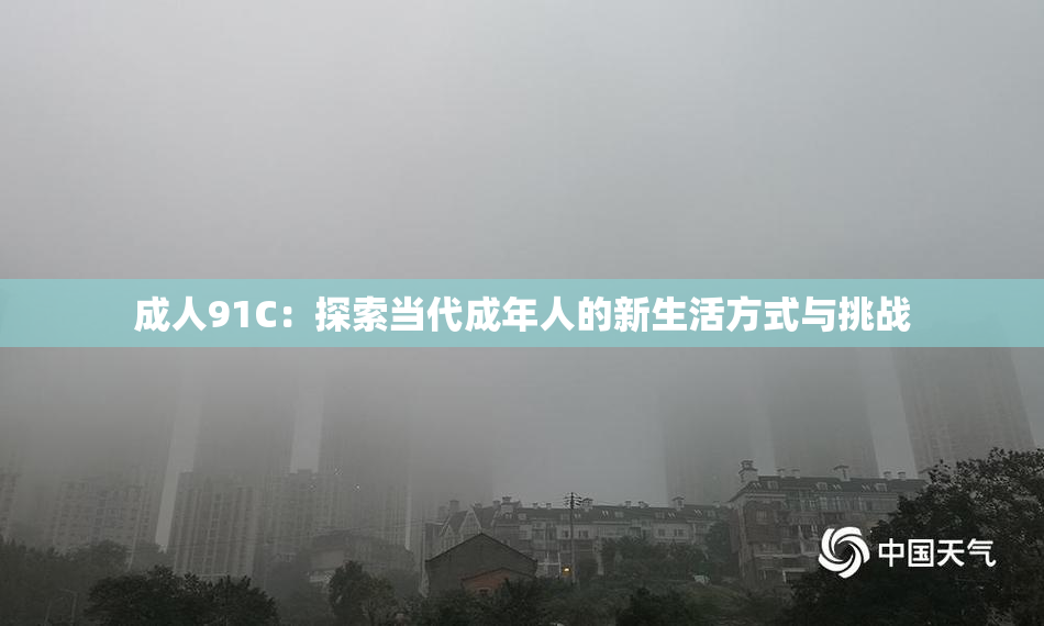 成人91C：探索当代成年人的新生活方式与挑战