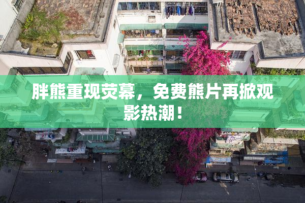 胖熊重现荧幕，免费熊片再掀观影热潮！