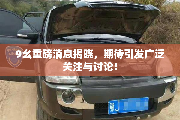 9幺重磅消息揭晓，期待引发广泛关注与讨论！