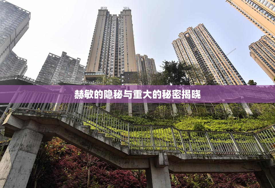 赫敏的隐秘与重大的秘密揭晓