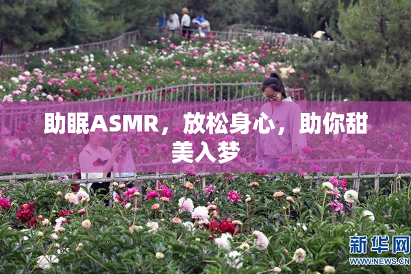 助眠ASMR，放松身心，助你甜美入梦