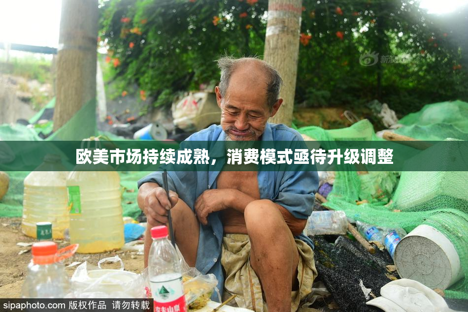欧美市场持续成熟，消费模式亟待升级调整