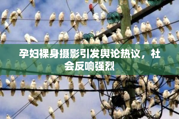 孕妇裸身摄影引发舆论热议，社会反响强烈