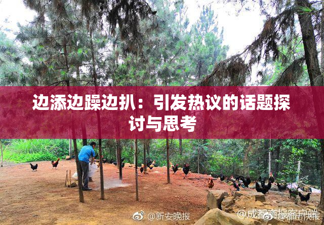边添边躁边扒：引发热议的话题探讨与思考
