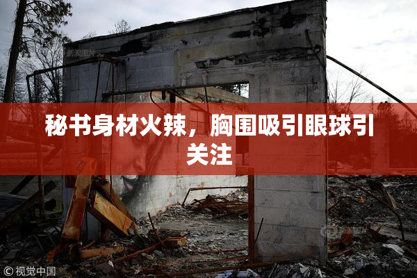 秘书身材火辣，胸围吸引眼球引关注
