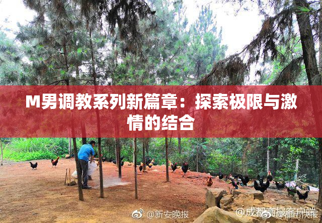 M男调教系列新篇章：探索极限与激情的结合