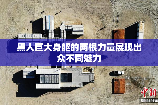 黑人巨大身躯的两根力量展现出众不同魅力