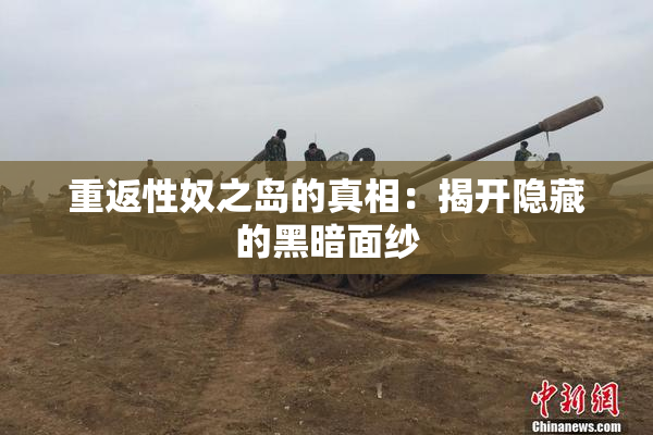 重返性奴之岛的真相：揭开隐藏的黑暗面纱