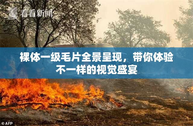 裸体一级毛片全景呈现，带你体验不一样的视觉盛宴