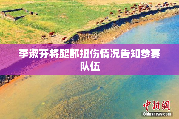 李淑芬将腿部扭伤情况告知参赛队伍