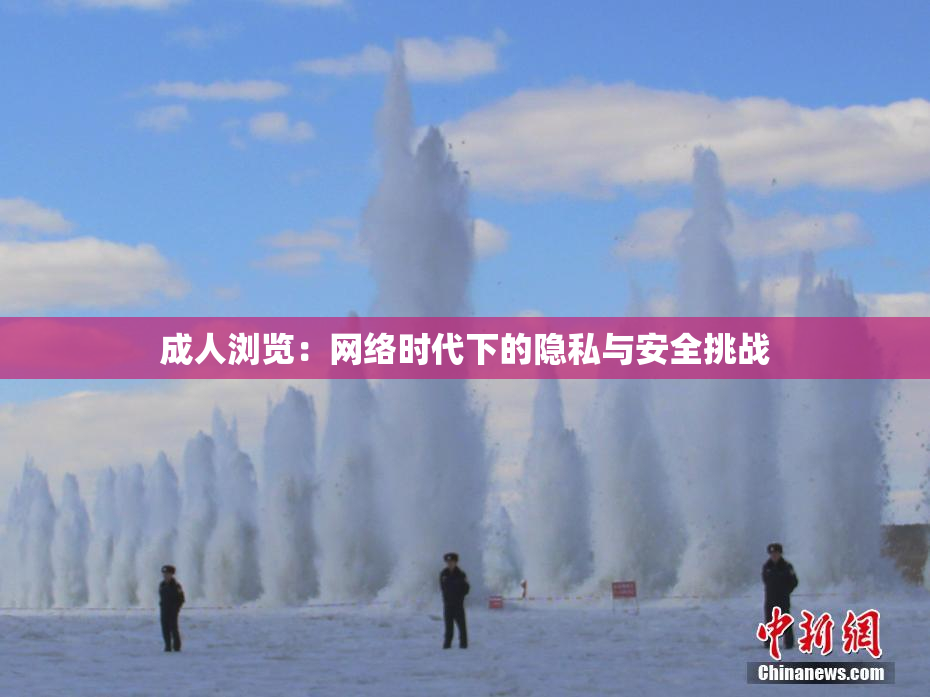 成人浏览：网络时代下的隐私与安全挑战