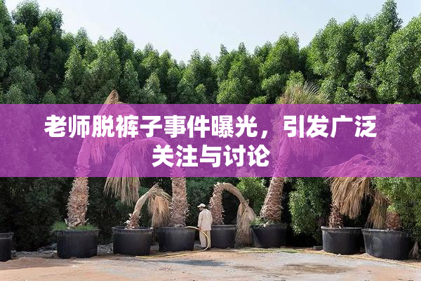 老师脱裤子事件曝光，引发广泛关注与讨论