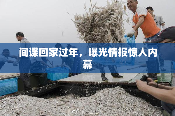 间谍回家过年，曝光情报惊人内幕
