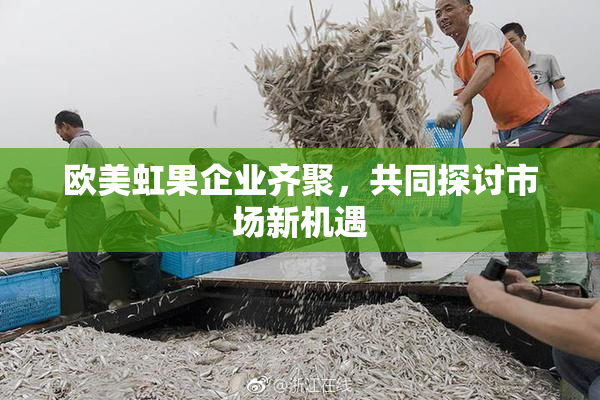 欧美虹果企业齐聚，共同探讨市场新机遇