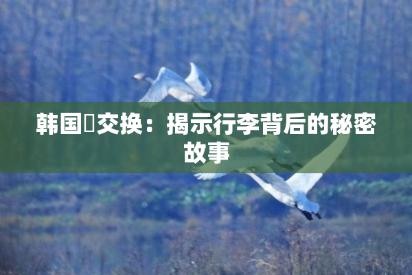 韩国巜交换：揭示行李背后的秘密故事