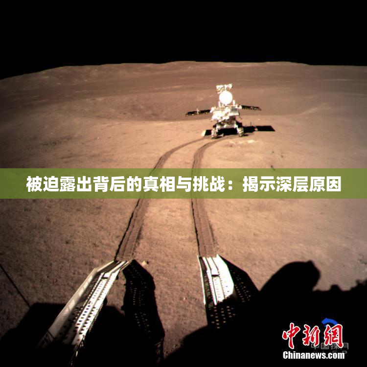 被迫露出背后的真相与挑战：揭示深层原因