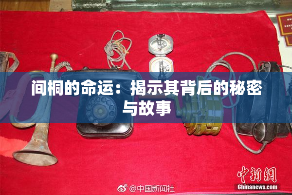 间桐的命运：揭示其背后的秘密与故事