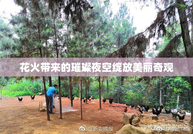 花火带来的璀璨夜空绽放美丽奇观