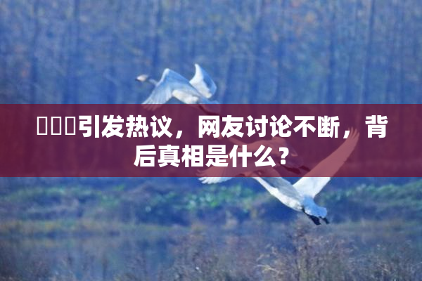 逹葢薾引发热议，网友讨论不断，背后真相是什么？